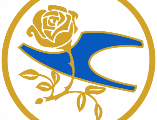 VDP online: am 9.12. gehts los!