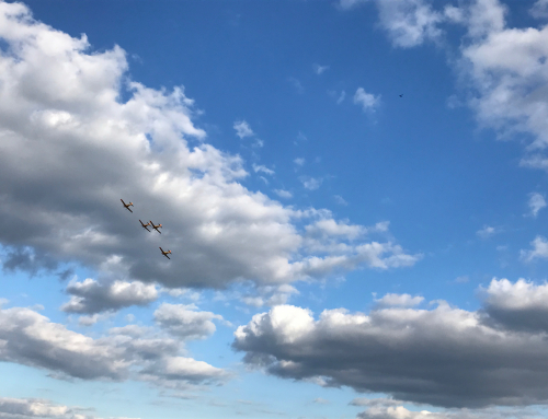 Der Frühling ist da – Zeit, abzuheben!