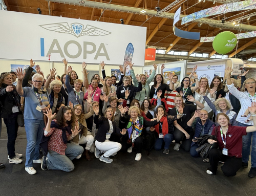 Flieger Magazin: VDP Top-Piloten-Verband